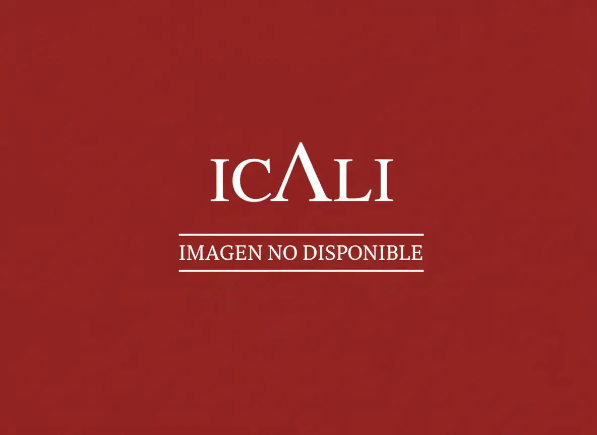 Ampliación de la base de datos VLEX-ICALI